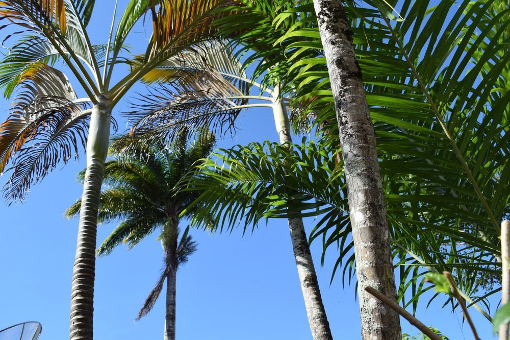 Pousada Sossego Velha Boipeba Exterior foto